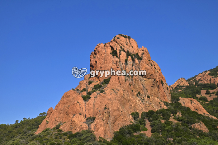 Rhyolite - affleurement naturel (Esterel, France) - gryphea.com
